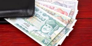 127.10 جنيه، سعر الريال العماني في البنك المركزي - المدينة برس
