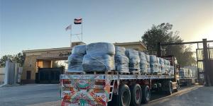 غذاء ودواء ووقود، تفاصيل قافلة «زاد العزة 228» المتجهة إلى غزة - المدينة برس