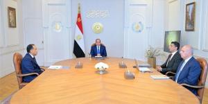 وزير الصناعة يستعرض أمام السيسي تفاصيل المبادرة المصرية للتكامل الصناعي الأفريقي - المدينة برس