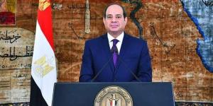 بعد قليل، السيسي يشهد استعراض إمكانيات أجهزة الدولة لمجابهة الأزمات والكوارث - المدينة برس