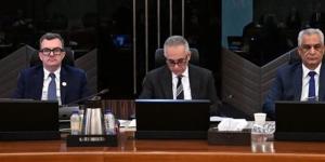 وزير التخطيط: مصر من أوائل الدول الحريصة على تقديم مراجعات طوعية بصورة منتظمة - المدينة برس