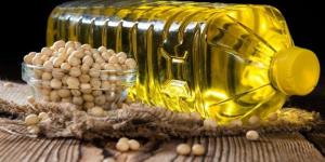 بعد الضربات الأمريكية لإيران، سعر زيت الصويا يرتفع لأعلى مستوى في 3 أسابيع - المدينة برس