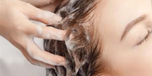 ماسكات طبيعية لتهدئة وتنظيف فروة الرأس المرهقة من العرق في أيام الصيف - المدينة برس