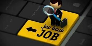 وظائف خالية بمحافظة الجيزة 2026، فتح باب التقديم لعدد من التخصصات - المدينة برس
