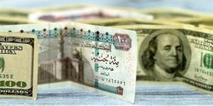 استقرار في أسعار الدولار بالبنوك قبل اجتماع المركزي بساعات - المدينة برس