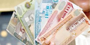 سعر الدينار البحريني مقابل الجنيه في البنوك المصرية (تحديث لحظي) - المدينة برس
