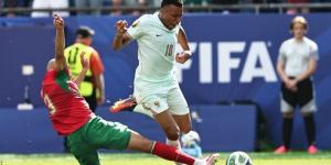 فرنسا تنهي حلم المغرب بثنائية مبابي وديمبيلي في كأس العالم 2026 (فيديو وصور) - المدينة برس