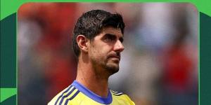 كورتوا وأشياء أخرى، مدرب بلجيكا يكشف سبب الخسارة أمام إسبانيا في ربع نهائي المونديال - المدينة برس