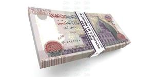 صافي أرباح بنك فيصل الإسلامي تتراجع 10.5% لتسجل 3.88 مليار جنيه بنهاية يونيو 2026 - بوابة المدينة برس