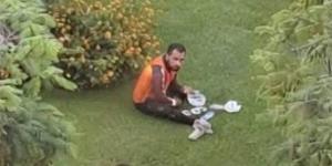 "اللقمة الحلال" تصنع المعجزة، "دليفري الرحاب" من التنمر إلى 100 ألف جنيه مكافأة! - المدينة برس