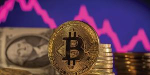 مشروع لبناء أول دولة قائمة على العملات المشفرة - بوابة المدينة برس