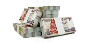 الأفراد يستحوذون على 36.6% من محفظة ودائع بنك QNB مصر بالنصف الأول من 2026 - بوابة المدينة برس