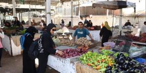محافظ القليوبية يتفقد سوق بهتيم بعد الانتهاء من تسكين الباعة الجائلين - المدينة برس