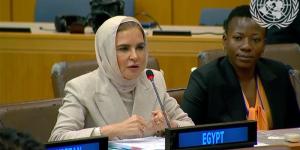 سحر نصر تطالب بمراجعة خطط التنمية المستدامة تماشيا مع المتغيرات الاقتصادية العالمية - المدينة برس