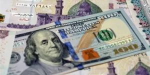 سعر صرف الدولار أمام الجنيه اليوم السبت 18 يوليو 2026 - المدينة برس