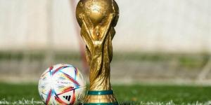 سجل أبطال كأس العالم قبل نهائي مونديال 2026 (إنفوجراف) - المدينة برس