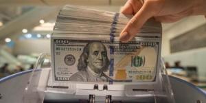 فيتش سوليوشنز تتوقع تراجع سعر الدولار بين 45 إلى 49 جنيه بالنصف الأول من 2027 - بوابة المدينة برس