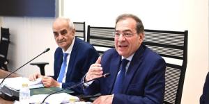 رئيس طاقة النواب: مصر تحتاج كل برميل بترول وقدم مكعب غاز لتعزيز الإنتاج - المدينة برس
