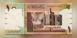 سعر الدولار مقابل الجنيه في بنك السودان المركزي اليوم الأحد - المدينة برس