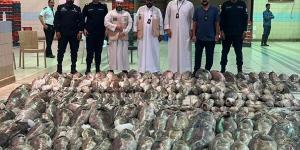 ضبط أكثر من 3 أطنان من الأسماك غير الصالحة للاستهلاك في سوق السمك - بوابة المدينة برس