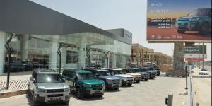 الصين تسيطر علي مبيعات السيارات الكهربائية في السوق المحلي - المدينة برس