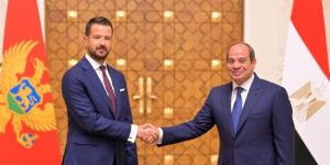 رئيس الجبل الأسود: نتطلع للاستفادة من الخبرات المصرية في السياحة والطاقة والبنية الأساسية - المدينة برس