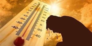 أخبار مصر اليوم: أول تعليق رسمي من الأوقاف على واقعة تحصيل أموال مقابل حفظ الأحذية بالمساجد.. الأرصاد تكشف ذروة الموجة الحارة.. نجيب ساويرس يطالب بتخصيص شواطئ عامة للمواطنين بالساحل - المدينة برس