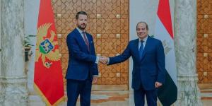 انطلاق مباحثات السيسي ورئيس الجبل الأسود لتعزيز العلاقات بين البلدين - المدينة برس