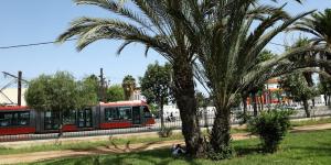 جماعة البيضاء تستنفر الجهود لحماية المساحات الخضراء من موجة الحر - بوابة المدينة برس