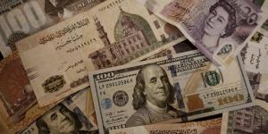 أسعار العملات الأجنبية والعربية أمام الجنيه في البنك التجاري الدولي - المدينة برس