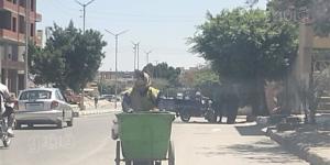 لقمة العيش الحلال، عمال النظافة بالإسماعيلية يعملون تحت درجة حرارة تتجاوز الـ40 (صور) - المدينة برس