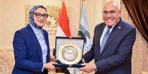 مصنع أخشاب جريد النخيل يتصدر مباحثات محافظ الوادي الجديد ورئيس العربية للتصنيع - المدينة برس