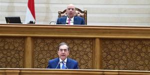النواب يوافق على 4 مشروعات قوانين للبحث والتنقيب عن البترول والغاز - المدينة برس