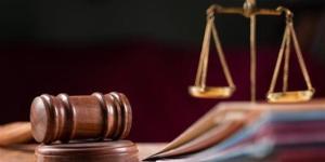 28 يوليو أولى جلسات محاكمة عاطل خطف طفلا لتصفية حسابات مع والده بالمعصرة - المدينة برس