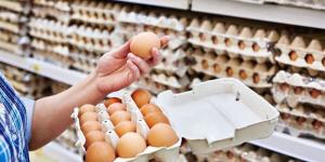 سعر كرتونة البيض اليوم الجمعة في بورصة الدواجن - المدينة برس