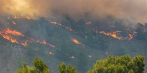 بعد اندلاعها في تونس والجزائر، أدعية نبوية مأثورة للتحصين من النار والحرائق - المدينة برس