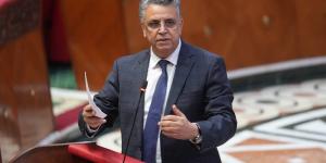 وهبي: مواجهة التشهير الرقمي أولوية - بوابة المدينة برس