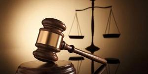 استكمال نظر استئناف المتسبب في وفاة عروس حلوان - المدينة برس