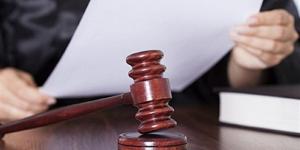 النطق بالحكم على سائق دهس أسرة بالمعصرة 6 أغسطس - المدينة برس