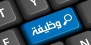 بنك القاهرة يعلن عن فرصة عمل لوظيفة محلل أعمال Business Analyst .. التفاصيل وكيفية التقديم - بوابة المدينة برس