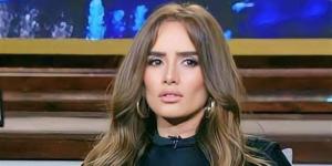 غدا، نظر استئناف رجل أعمال على حبسه 3 أشهر في قضية مطاردة ابني زينة - المدينة برس