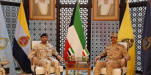رئيس الأركان يبحث ومسؤول عسكري إماراتي أوجه التعاون وسبل تطويره - بوابة المدينة برس