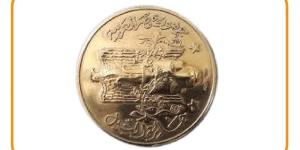الفائزون بجائزة النيل من المصريين والعرب 2026 (إنفوجراف) - المدينة برس