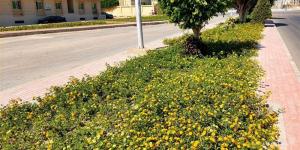 وزيرة الإسكان تتابع موقف المشروعات وأعمال التطوير ورفع كفاءة الخدمات بمدن الصعيد الجديدة - المدينة برس