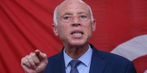 قيس سعيد يستعرض مع السيسي جهود مكافحة الحرائق والحفاظ على مقدرات تونس وسلامة مواطنيها - المدينة برس