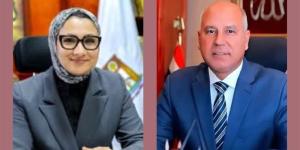 وزير النقل يبحث مع محافظ الوادي الجديد دفع معدلات العمل بمشروعات الطرق الجارية والمستقبلية - المدينة برس