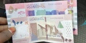 سعر الدولار في بنك السودان المركزي بختام تعاملات اليوم - المدينة برس