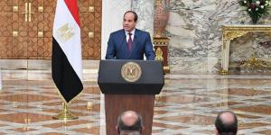 السيسي: علاقتنا الدبلوماسية مع مدغشقر تأسست عام 1970 - المدينة برس