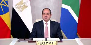 مصر والجزائر تدعمان التسوية السلمية للأزمة الإيرانية وترفضان المساس بأمن الدول العربية - المدينة برس