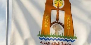 28 وظيفة هندسية لدعم الوحدات المحلية بالوادي الجديد لسد احتياجاتها - المدينة برس
